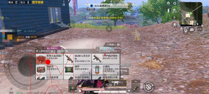 女生怎么玩和平精英辅助（女生怎么玩和平精英）